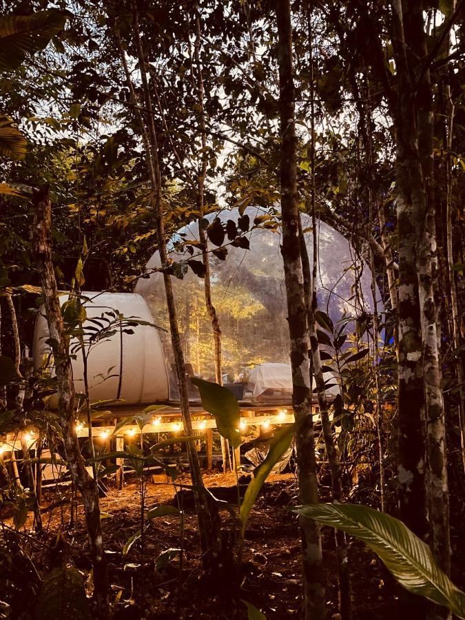 Отель Glamping Amazonas Летисия Экстерьер фото