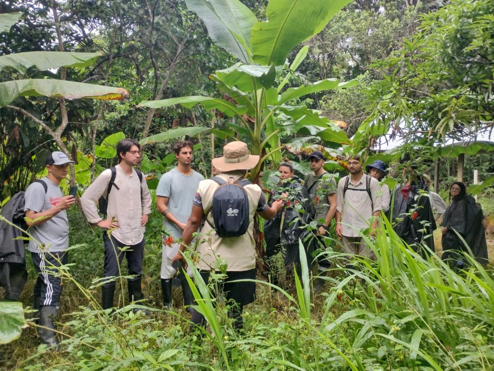 Отель Glamping Amazonas Летисия Экстерьер фото